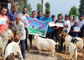 पशु उपचार शिविरमा किसान पुरस्कृत