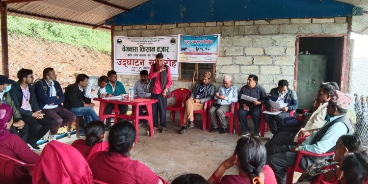 बेगनासमा पनि शुक्रबारे किसान बजार