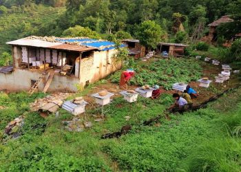 रैथानेबालीको संरक्षणमा कृषि समाजशास्त्रको भूमिका