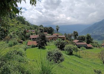 बाँदरले खेदिएको पोखराको एउटा बस्ती