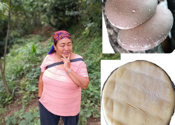 च्याउ र चिजका उपभोक्ता पर्खदै मीना