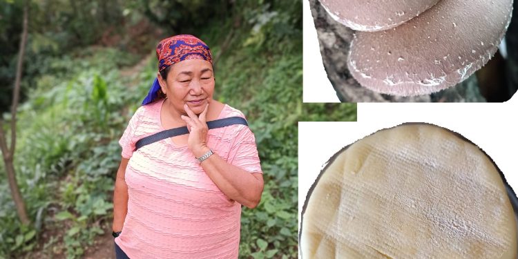 च्याउ र चिजका उपभोक्ता पर्खदै मीना