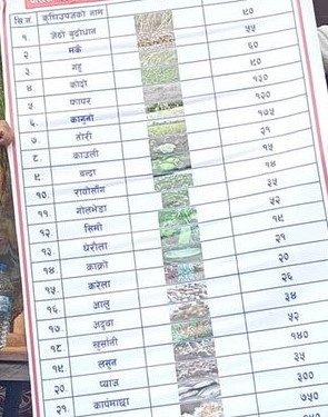 स्थानीय सरकारले कृषि उपजको न्युनतम मूल्य दिने