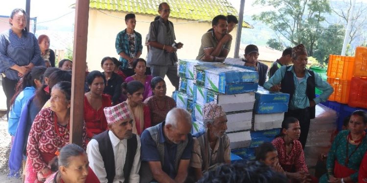 प्राङ्गारिक कृषि उपज उत्पादनका लागि सहजिकरण