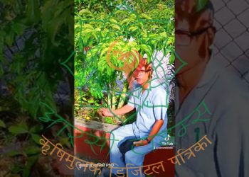 ओल, सुपर फुड