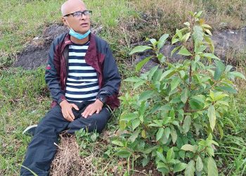 पञ्च पल्लवमा ‘डुम्री ’ र नव समिधामा वनस्पतिको उपयोगिता