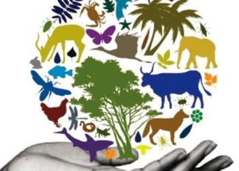 कृषिमा जैविक विविधता किन आवश्यक ?