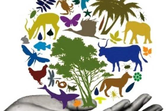 कृषिमा जैविक विविधता किन आवश्यक ?