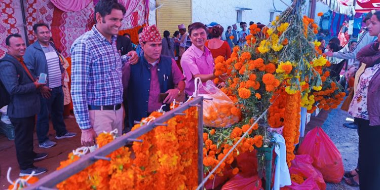 तिहारे फुल खेतिमा किसानहरु उत्साहित : बाहिरको फुल आयातमा प्रतिबन्ध लगाएपछि स्थानीयकोे बजार मुल्य उकालो