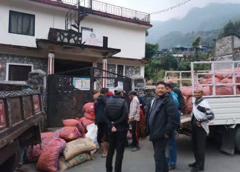 आलु खेति विउमा स्थानीय पालिकाले पनि टेवा