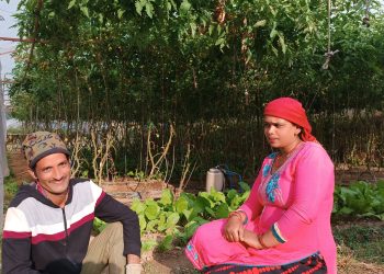 कोरोनाको ‘लक–डाउन’ नै कृषकलाई ‘गुड–लक’