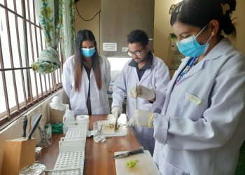 तरकारीमा विषादी अवशेष परिक्षण सूरु