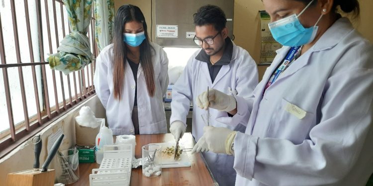 तरकारीमा विषादी अवशेष परिक्षण सूरु