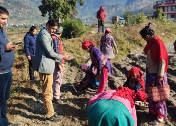 आलुबीउ उत्पादनमा महिला कृषकसमूह पनि सक्रिय