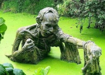 ‘माटो—पानीका मलामीहरु’