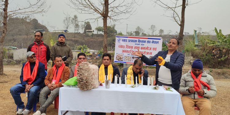 च्याउ दिवसमा व्यवसायिक सम्बाद