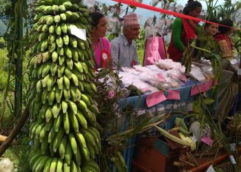 माघे संक्रान्तिमा कृषि जैविक मेला हुँने