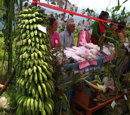 माघे संक्रान्तिमा कृषि जैविक मेला हुँने