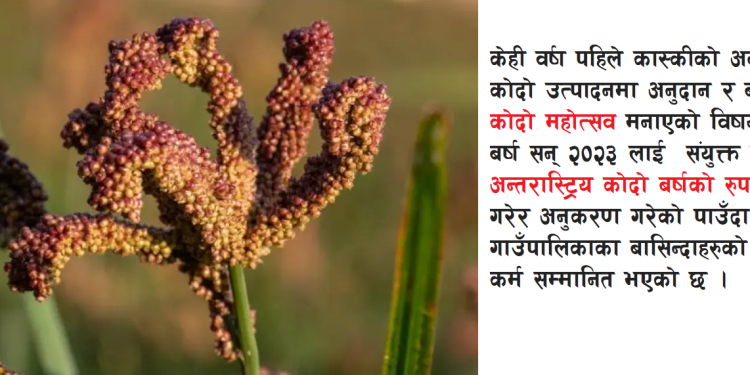 कोदो वर्षको शुभकामना