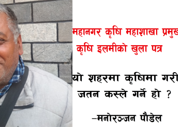 महानगर कृषि प्रमुखलाई कृषि इलमीको खुला पत्र