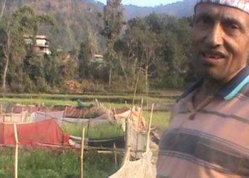 आलु खेती जोगाउने रैथाने जुक्ति : तन्ना र सारीले बारेर बाली जोगाउँदै