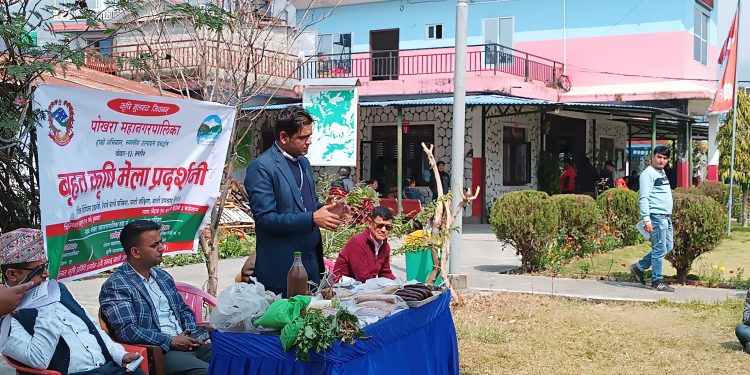 रैथानेकृषि र कृषक प्रबर्धनगर्दै पालिकाहरु