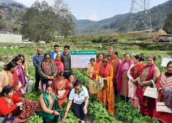 बीउ आलु उत्पादन क्षेत्रको अनुगमन 