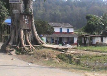 भत्कीदै पौवा र पाटी हराउँदै चौतारी—पोखरी