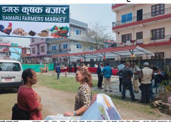 पोखरा विरौटामा डमरु कृषक बजार संचालन