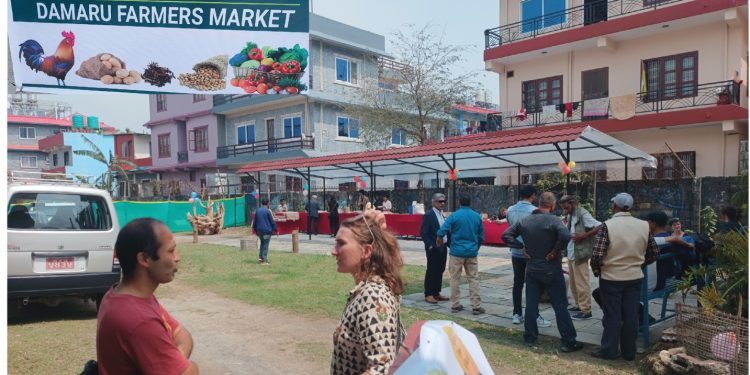 पोखरा विरौटामा डमरु कृषक बजार संचालन