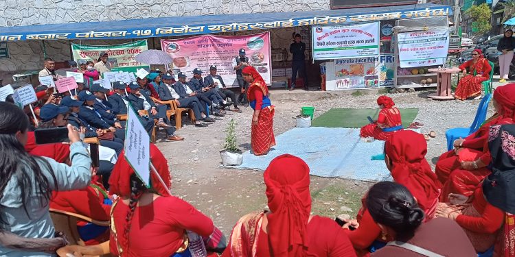 ‘आलि देखि थालीसम्म बिषादी रहित बाली’ खोजी हुँदै
