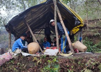 अर्मला नौधारेमा युवाहरु सामूहिक कफी खेति गर्दै