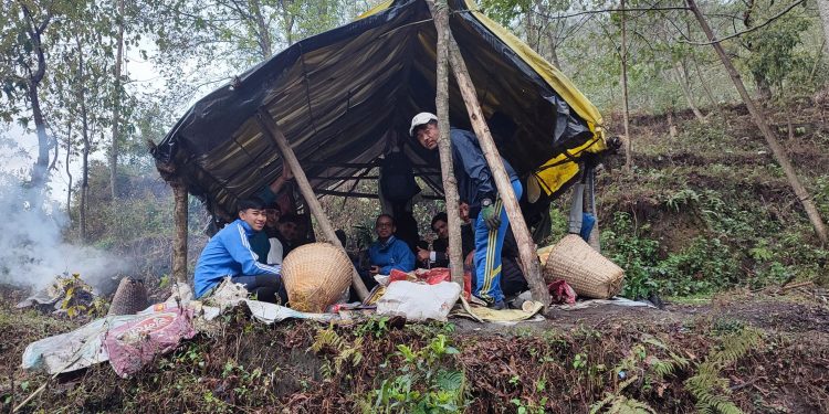 अर्मला नौधारेमा युवाहरु सामूहिक कफी खेति गर्दै