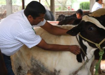 पशुधन पूर्णखोप प्रभावकारी भएको दावी