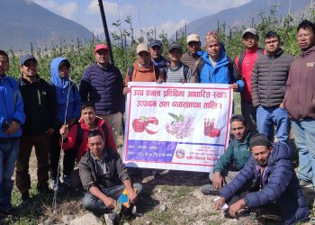 उच्च घनत्व स्याउ खेति सिकाइदै