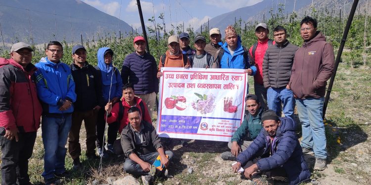 उच्च घनत्व स्याउ खेति सिकाइदै