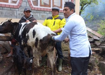 मनाङ्गमा पशु प्रजनन सेवाको स्थलगत शिविर : ‘पशुधन सुरक्षाका लागि सन्तुलित आहारको खाँचो’