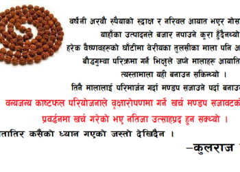 गैह्रकाष्ठ वन पैदावारको बजार रणनीति