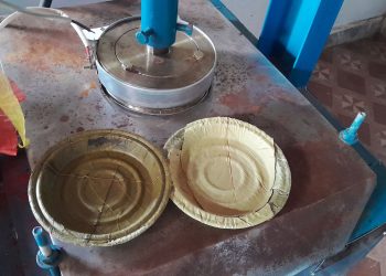 ‘फोहरबाट मोहर र पातबाट पैसा’