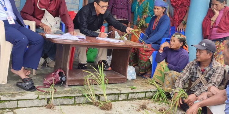 रैथाने कोदो बाली उपचार शिविर