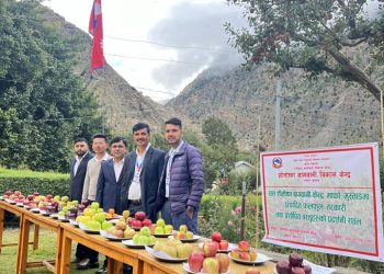 बागवानी दिवसमा स्याउ किसान र कर्मी सम्मान