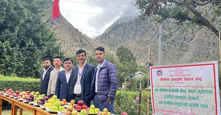 बागवानी दिवसमा स्याउ किसान र कर्मी सम्मान