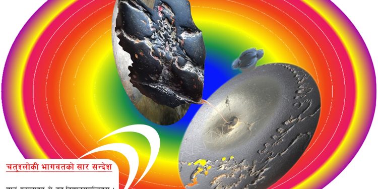 विज्ञानपरक चतुश्लोकी भागवत