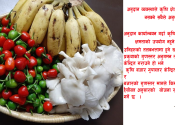 कृषि परियोजना छनौटका प्रेरक सबाल