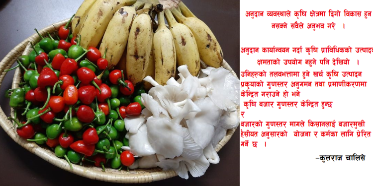 कृषि परियोजना छनौटका प्रेरक सबाल
