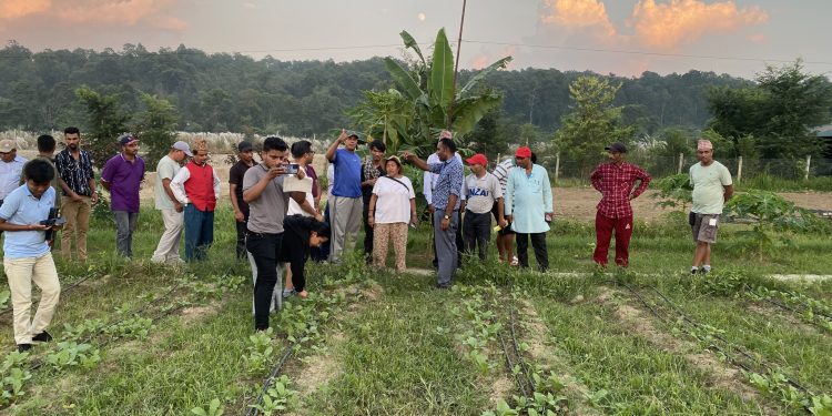 कृषकद्धारा प्रविधिमैत्रि कृषि अवलोकन