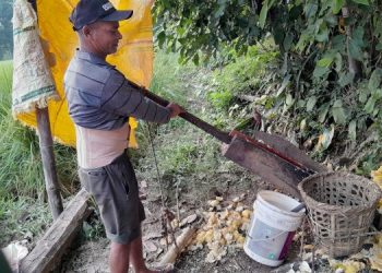 निवुवाको चुक अमिलो घरेलु उद्यमबाट लाख बढी आम्दानी