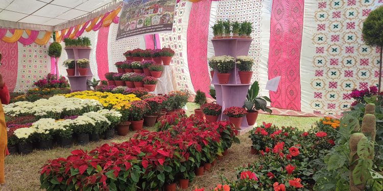 पोखरामा पुष्प प्रदर्शनी मेला,  बाहीरी र नक्कली फुल आयातमा रोक्का