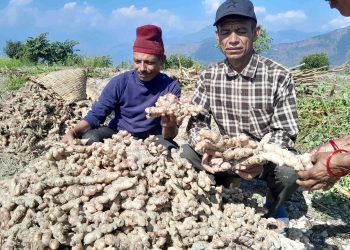 माटो चिनेर कर्म गरे खुशी पाइने