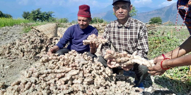 माटो चिनेर कर्म गरे खुशी पाइने